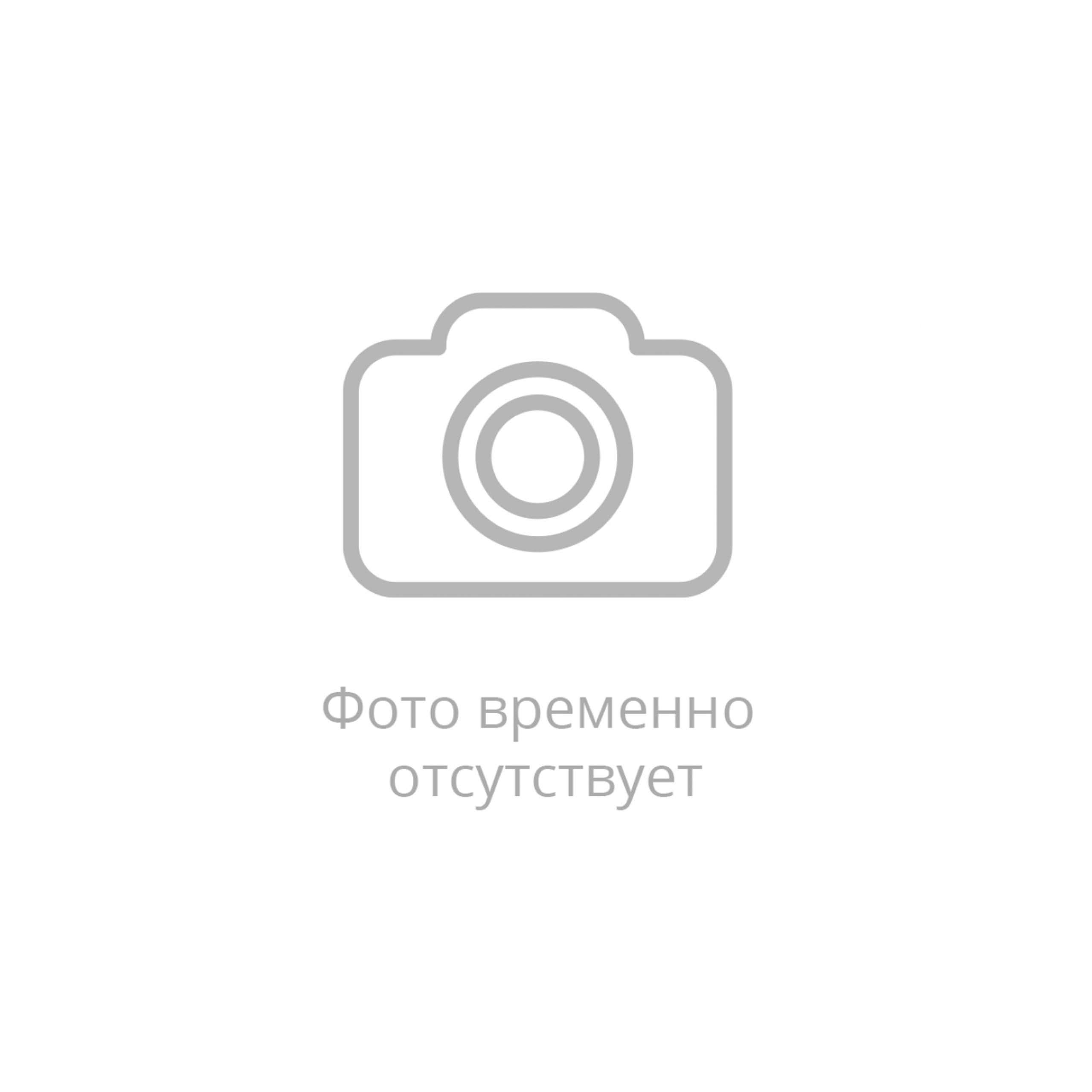 Кроссовый мотоцикл PROMAX RX2 YB300H (LX176FMN) (4 valves, 6 gears) в Ярославле