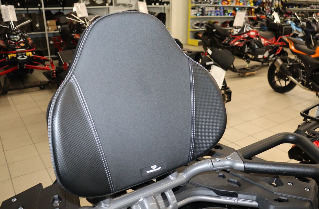 Квадроцикл PROMAX RENEGADE 300 LONG WINCH PRO (2025) в Ярославле