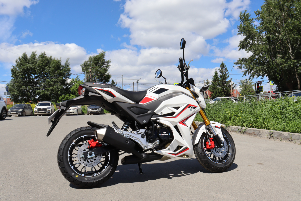 Мотоцикл PROMAX STRYKER 200(49) 2.0 в Ярославле