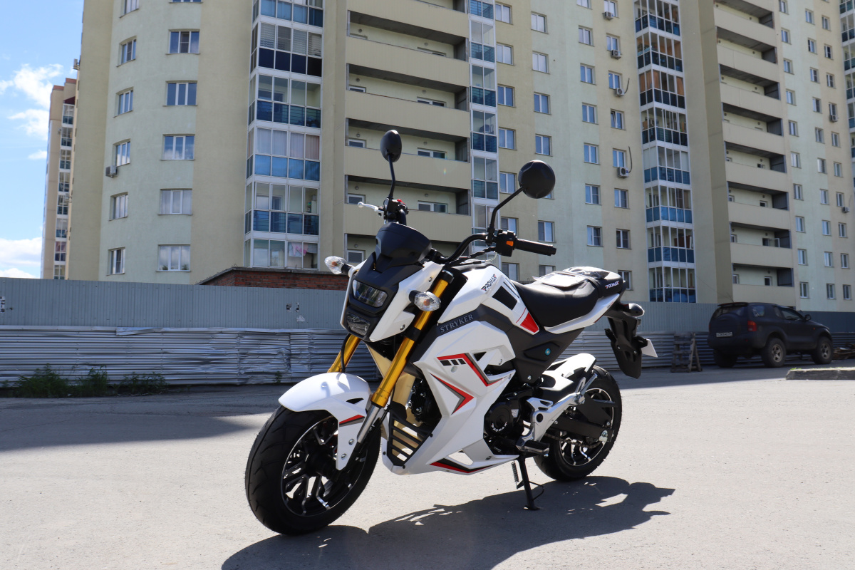 Мотоцикл PROMAX STRYKER 200(49) 2.0 в Ярославле