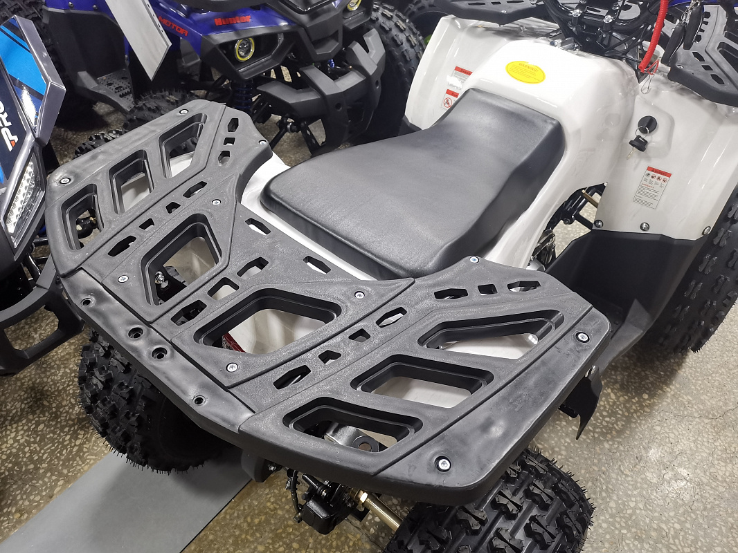 Квадроцикл PROMAX WILD 175 LUX в Ярославле