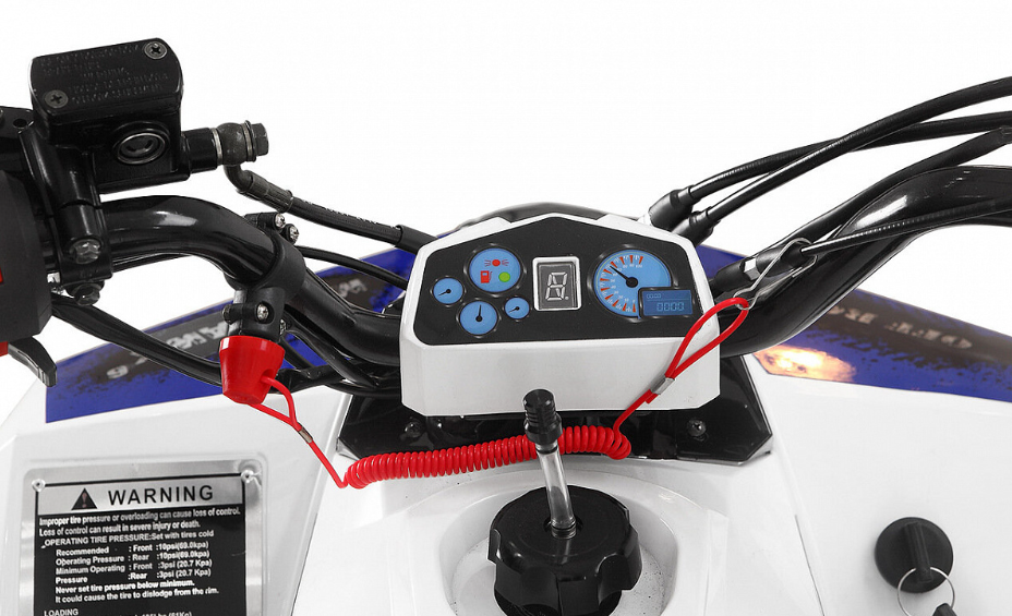 Квадроцикл Yacota Raposa 110 в Ярославле