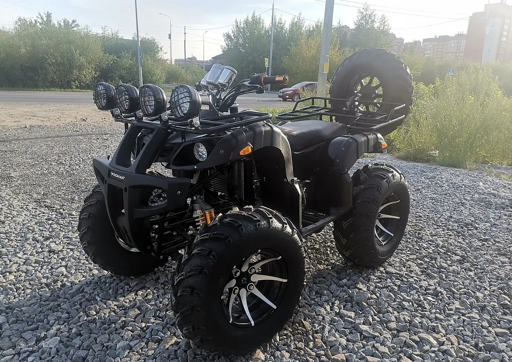 Квадроцикл PROMAX LEO 300 Max (кардан) в Ярославле