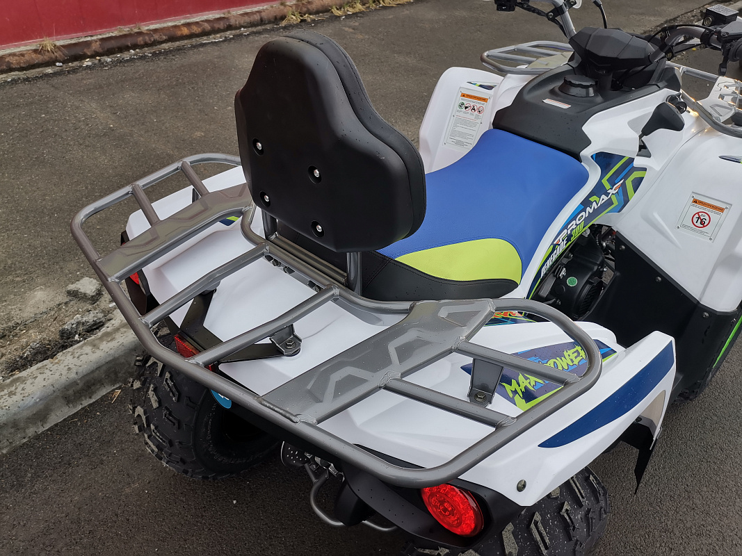 Квадроцикл PROMAX RENEGADE 280 LUX (2025) в Ярославле