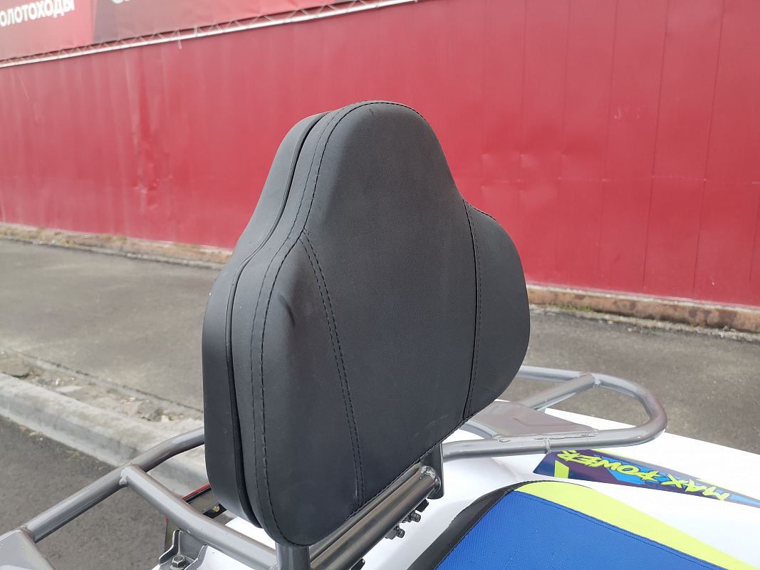 Квадроцикл PROMAX RENEGADE 280 LUX (2025) в Ярославле