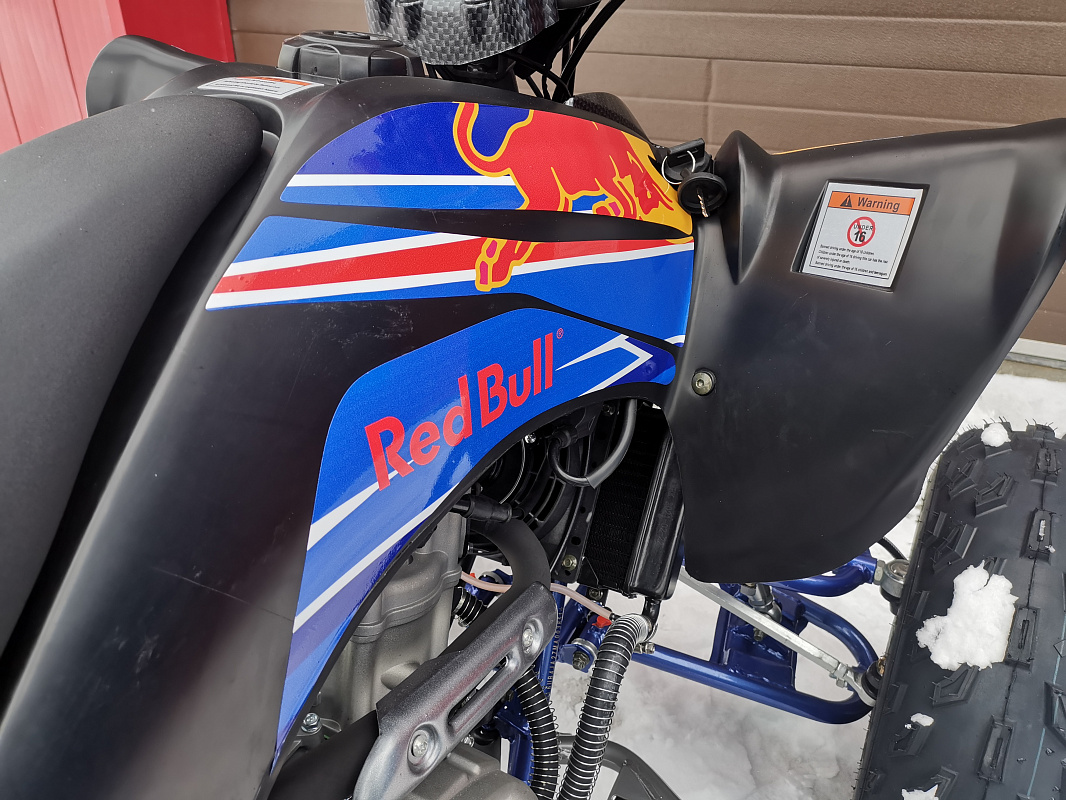 Квадроцикл PROMAX RAPTOR 300 NEW RedBull в Ярославле