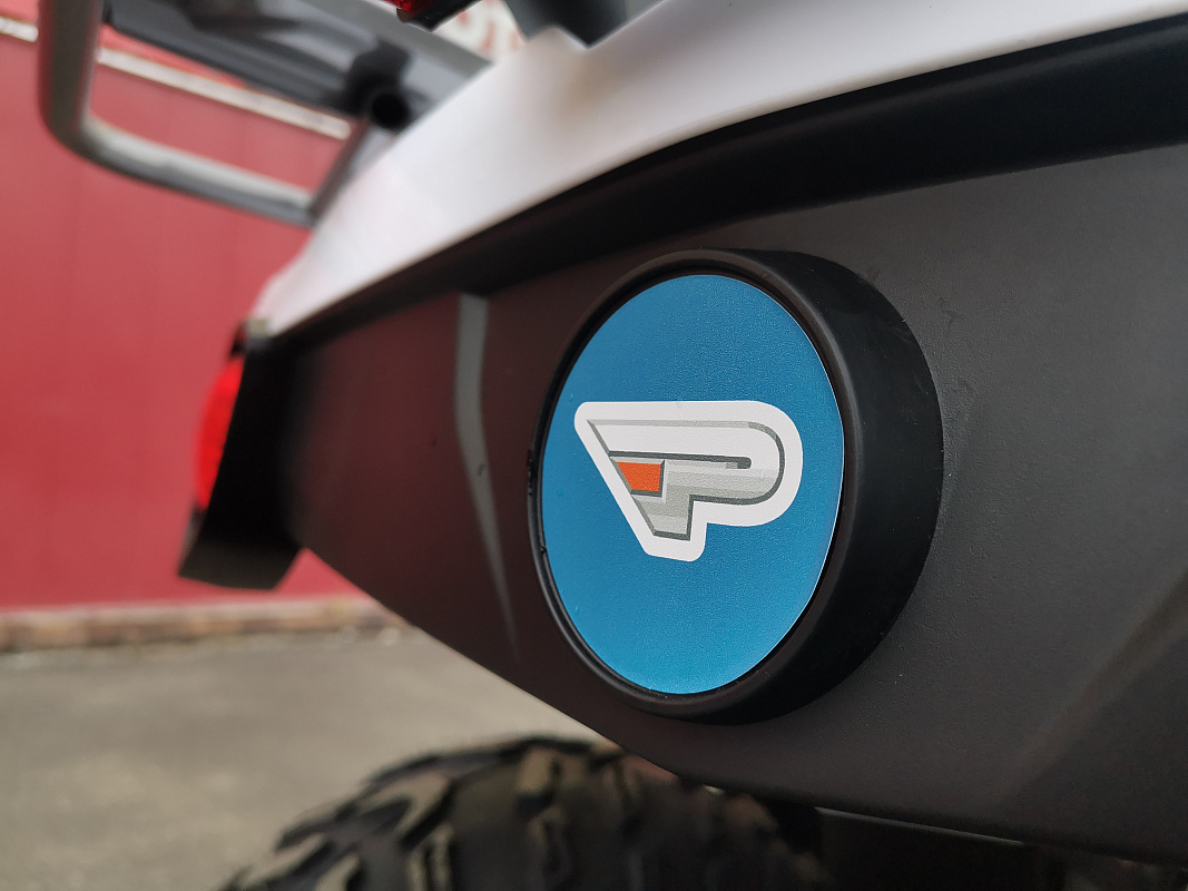 Квадроцикл PROMAX RENEGADE 280 LUX (2025) в Ярославле