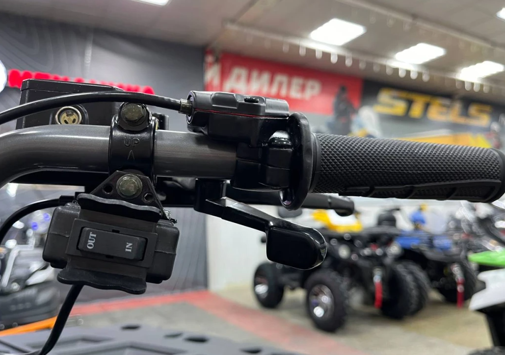 Квадроцикл PROMAX RENEGADE 300 LONG WINCH PRO (2025) в Ярославле