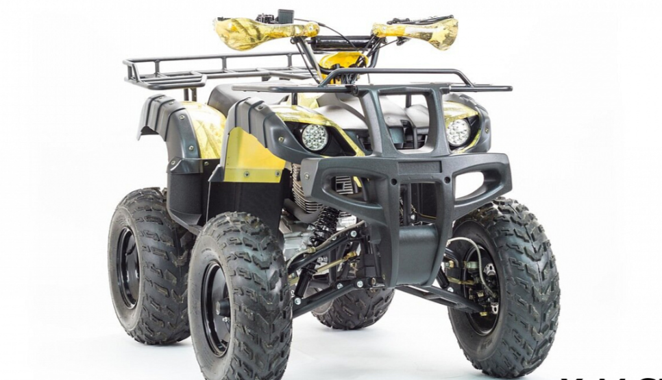 Квадроцикл MOTOLAND (МОТОЛЕНД) 250 ADVENTURE в Ярославле