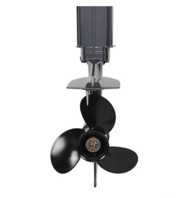 Лодочный мотор ALLFA CG Т40FW S в Ярославле