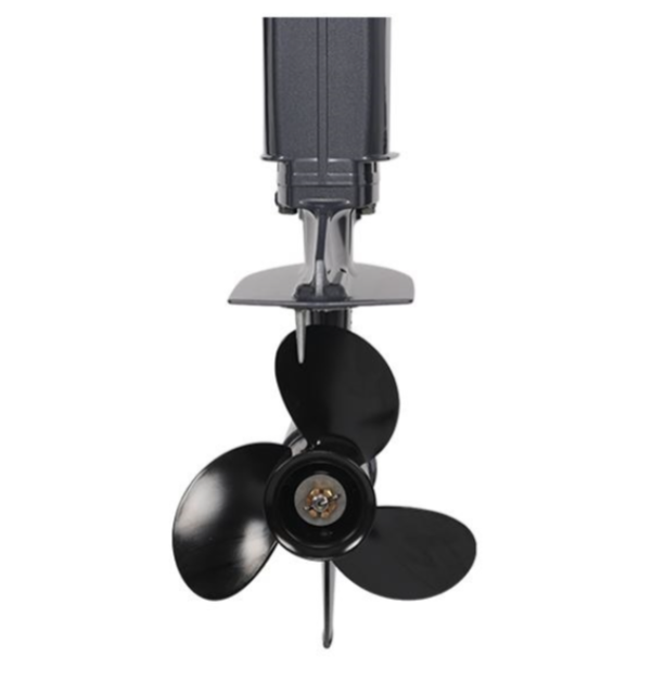 Лодочный мотор ALLFA CG Т40FWT S в Ярославле