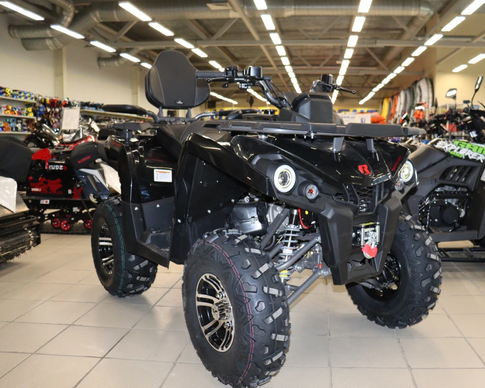Квадроцикл PROMAX RENEGADE 300 LONG WINCH PRO (2025) в Ярославле