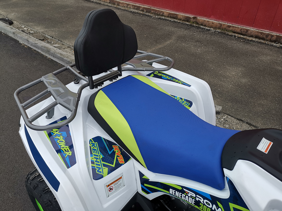Квадроцикл PROMAX RENEGADE 280 LUX (2025) в Ярославле