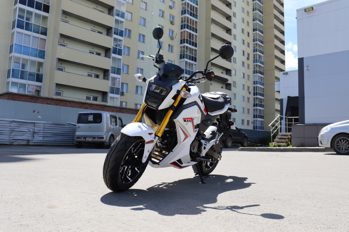 Мотоцикл PROMAX STRYKER 200(49) 2.0 в Ярославле