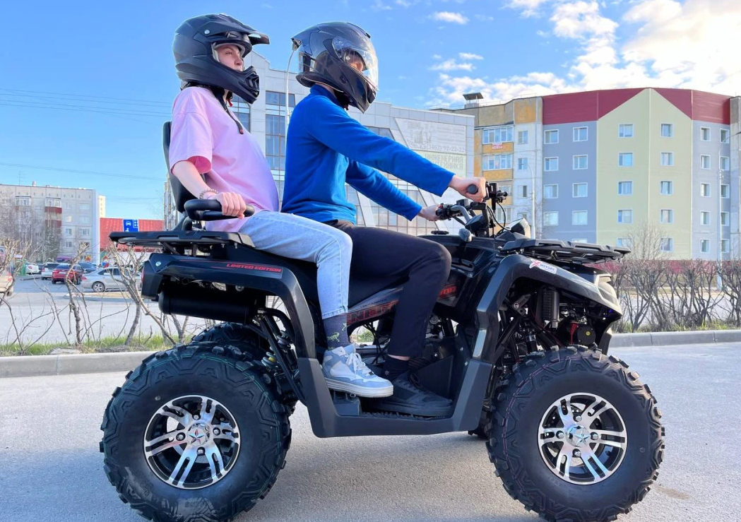 Квадроцикл PROMAX RENEGADE 300 LONG WINCH PRO (2025) в Ярославле