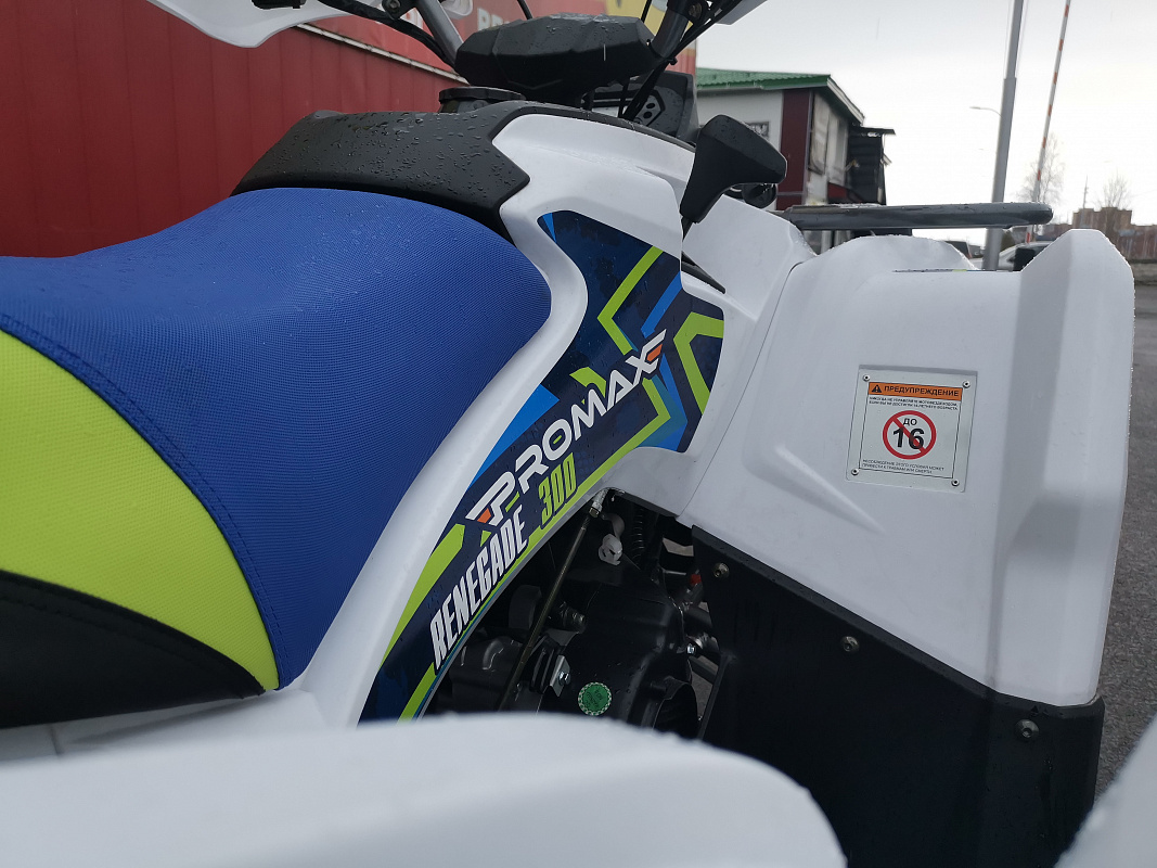 Квадроцикл PROMAX RENEGADE 280 LUX (2025) в Ярославле