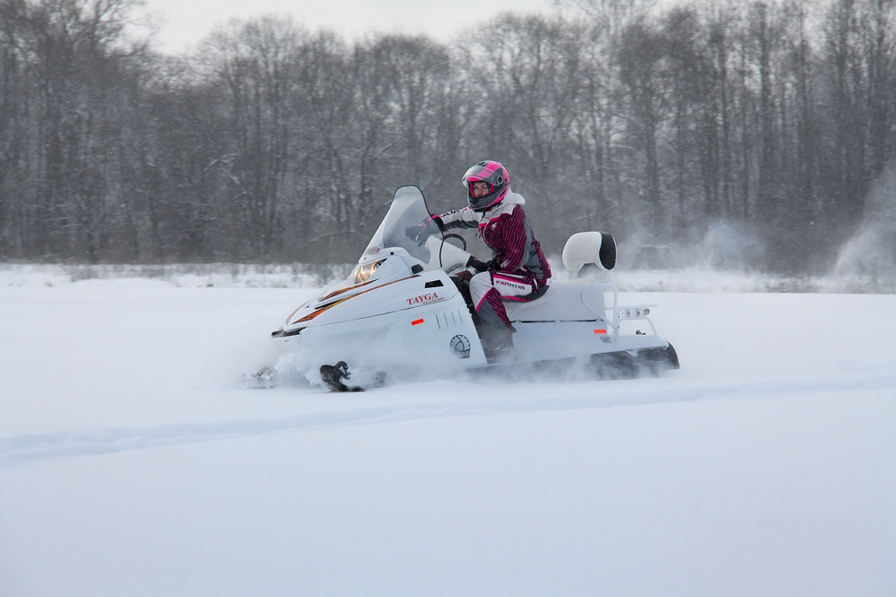СНЕГОХОД РМ ТАЙГА ПАТРУЛЬ 551 SWT в Ярославле