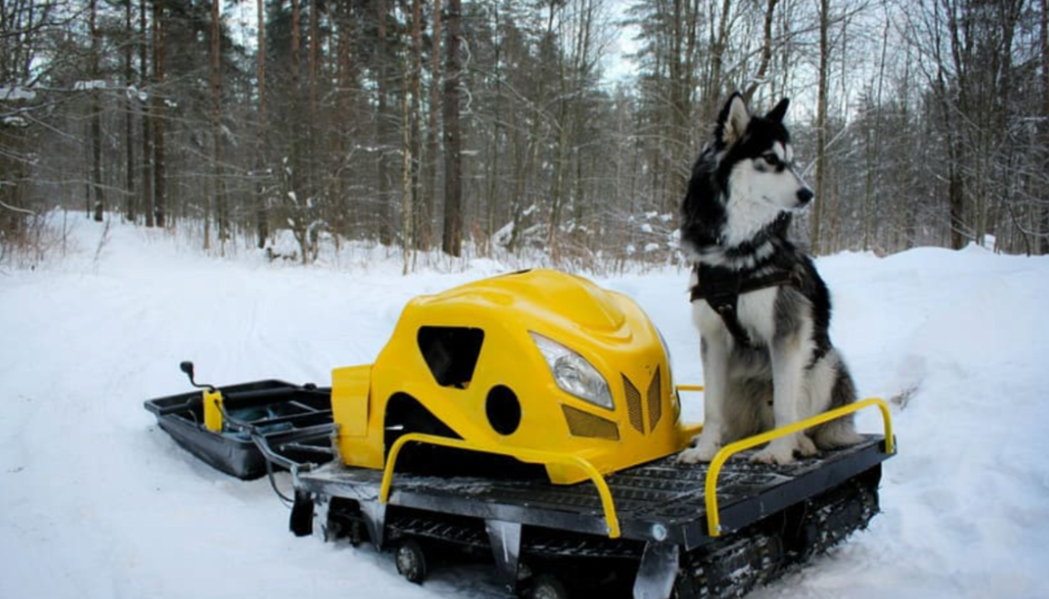Мотобуксировщик LEBEDEV MOTORS ВОЛКОДАВ POWER V13 в Ярославле