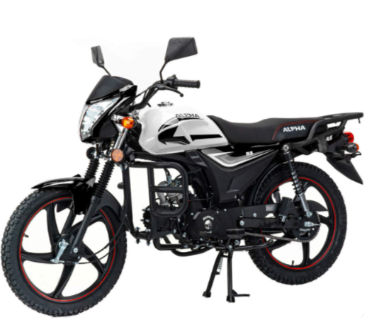 Мопед MOTOLAND (МОТОЛЕНД) Альфа RS 11 (LM48-B) в Ярославле