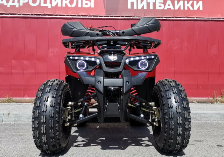Квадроцикл PROMAX WILD 175 BASIC в Ярославле