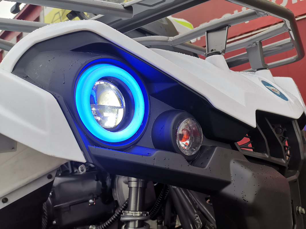 Квадроцикл PROMAX RENEGADE 280 LUX (2025) в Ярославле