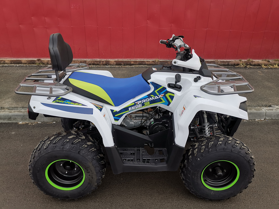 Квадроцикл PROMAX RENEGADE 280 LUX (2025) в Ярославле
