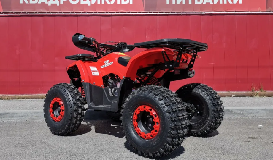 Квадроцикл PROMAX WILD 175 BASIC в Ярославле