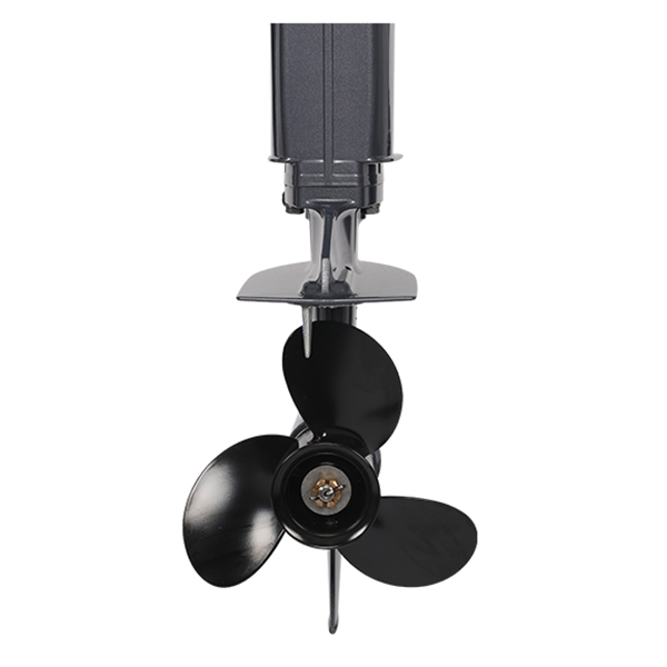 ЛОДОЧНЫЙ МОТОР ALLFA CG T30 FW S в Ярославле