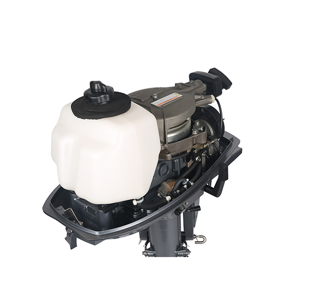 ЛОДОЧНЫЙ МОТОР ALLFA CG T5 в Ярославле