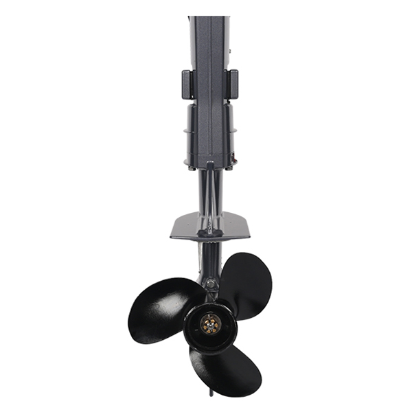 ЛОДОЧНЫЙ МОТОР ALLFA CG T9,8 Limit в Ярославле