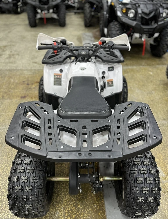 Квадроцикл PROMAX WILD 2.0 190 в Ярославле