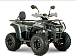 Квадроцикл YACOTA DRAGON LUX LD 150 PRO-SPORT в Ярославле