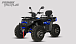 Квадроцикл PROMAX TAURUS 300 MAX-PRO LONG в Ярославле