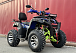  Квадроцикл PROMAX ATV 250 MAX (2025) в Ярославле