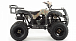 Квадроцикл MOTOLAND (МОТОЛЕНД) 200 ALL ROAD в Ярославле