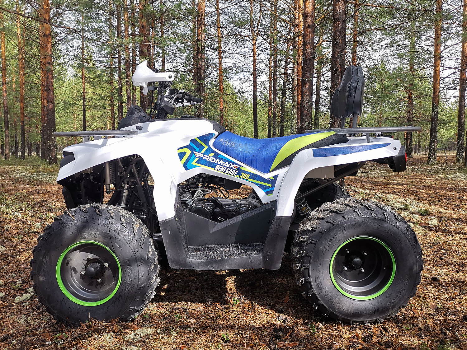Квадроцикл PROMAX RENEGADE 280 (2025) в Ярославле