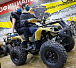 Квадроцикл PROMAX ATV 250 (2025) в Ярославле