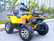 Квадроцикл MOTOLAND (МОТОЛЕНД) VOX200 WILD TRACK X PRO (баланс. вал) в Ярославле