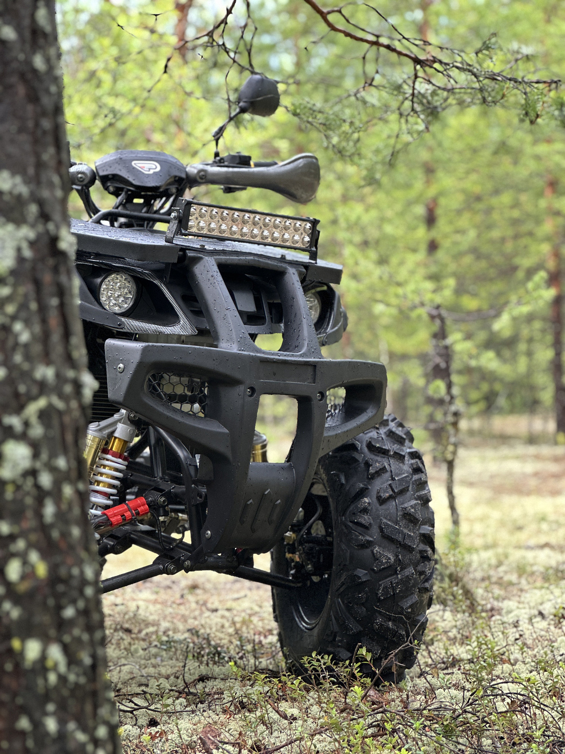 Квадроцикл PROMAX 320 DOMINATOR (2025) в Ярославле