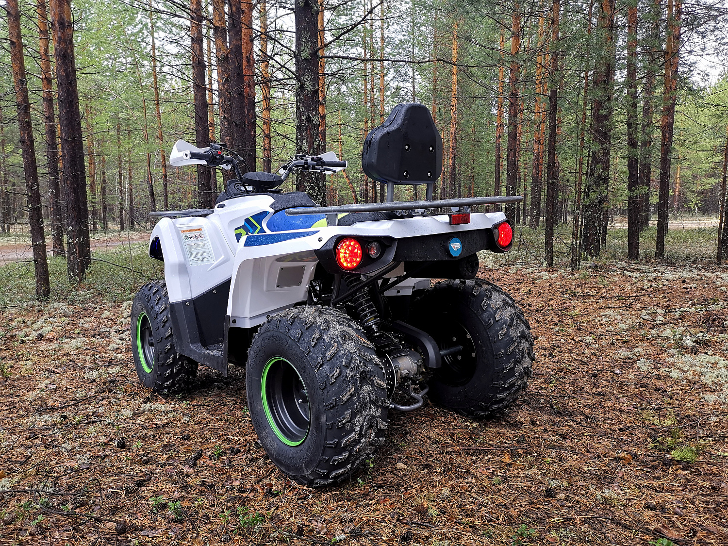 Квадроцикл PROMAX RENEGADE 280 (2025) в Ярославле