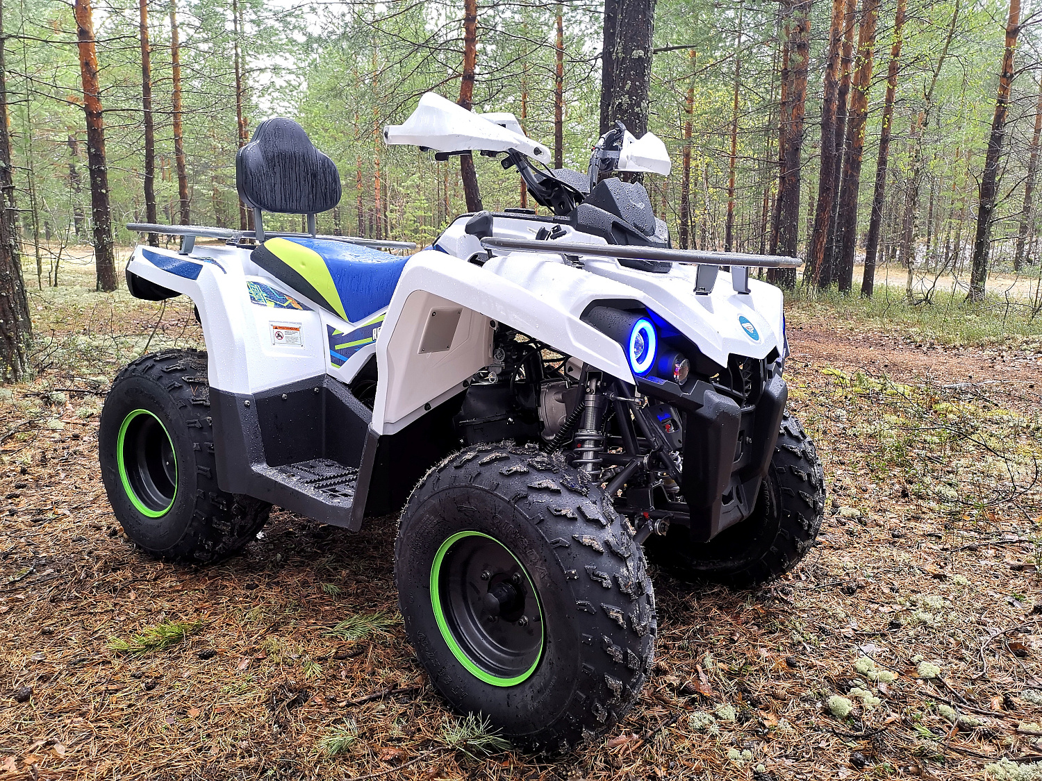 Квадроцикл PROMAX RENEGADE 280 (2025) в Ярославле