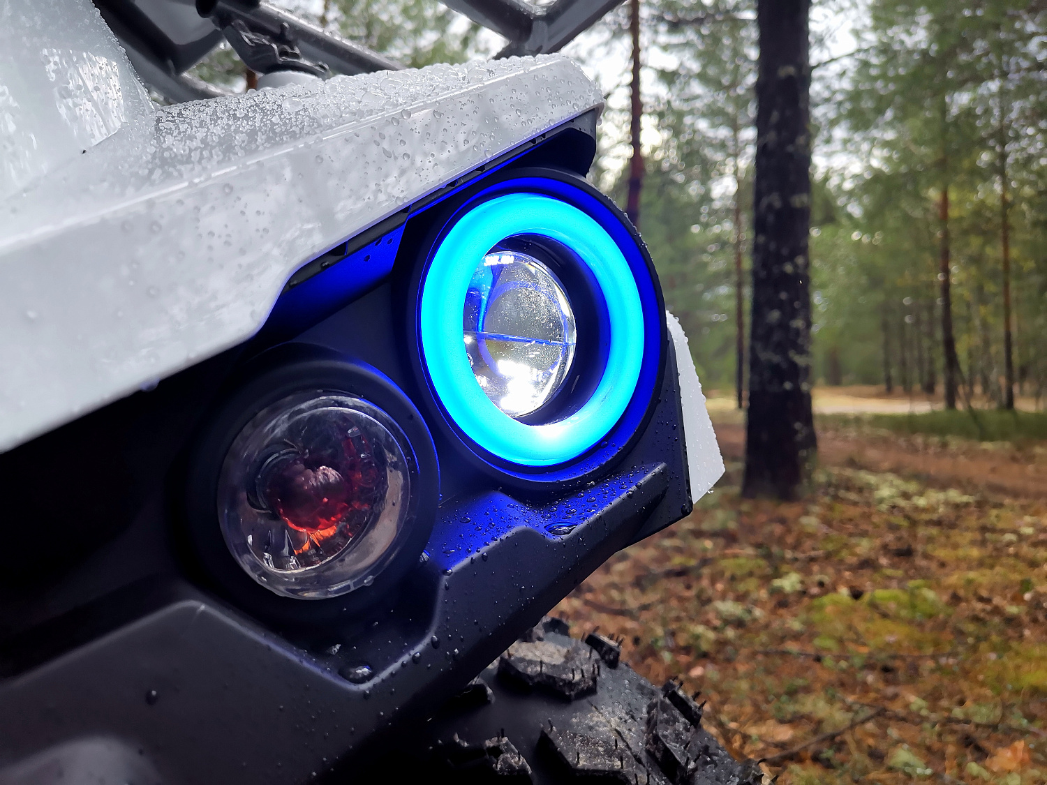 Квадроцикл PROMAX RENEGADE 280 (2025) в Ярославле