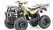 Квадроцикл MOTOLAND (МОТОЛЕНД) 250 ADVENTURE в Ярославле