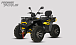 Квадроцикл PROMAX TAURUS 300 MAX-PRO LONG в Ярославле